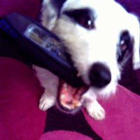 film, television and commercials
