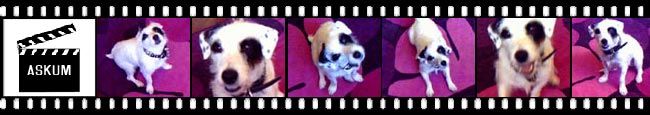 dog actor