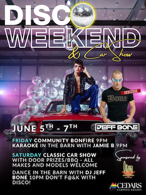 Don'y F@&k With Disco